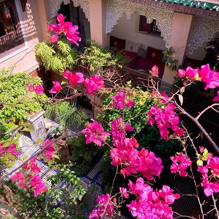 Riad Toyour- Riad Of Birds Fez Bagian luar foto