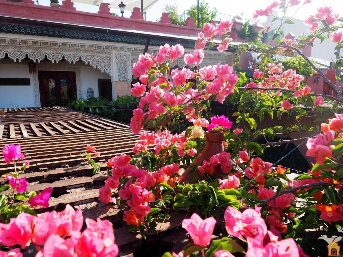 Riad Toyour- Riad Of Birds Fez Bagian luar foto
