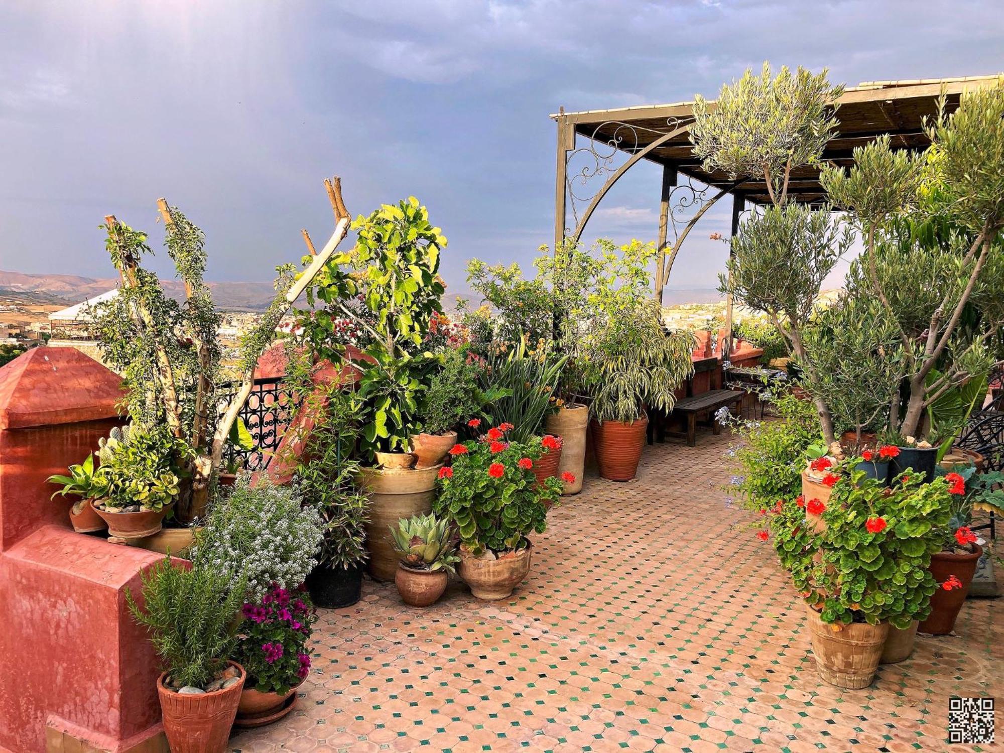 Riad Toyour- Riad Of Birds Fez Bagian luar foto