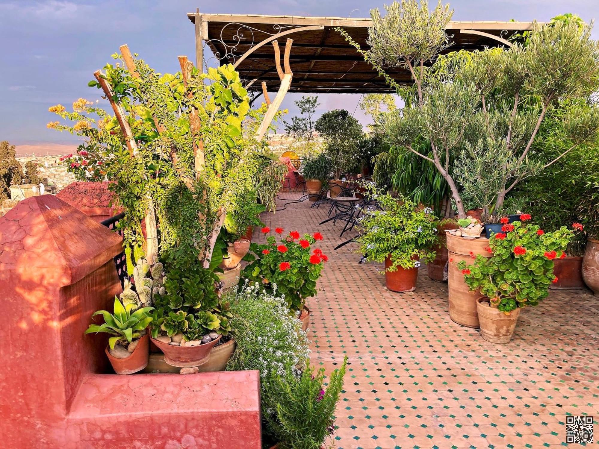 Riad Toyour- Riad Of Birds Fez Bagian luar foto
