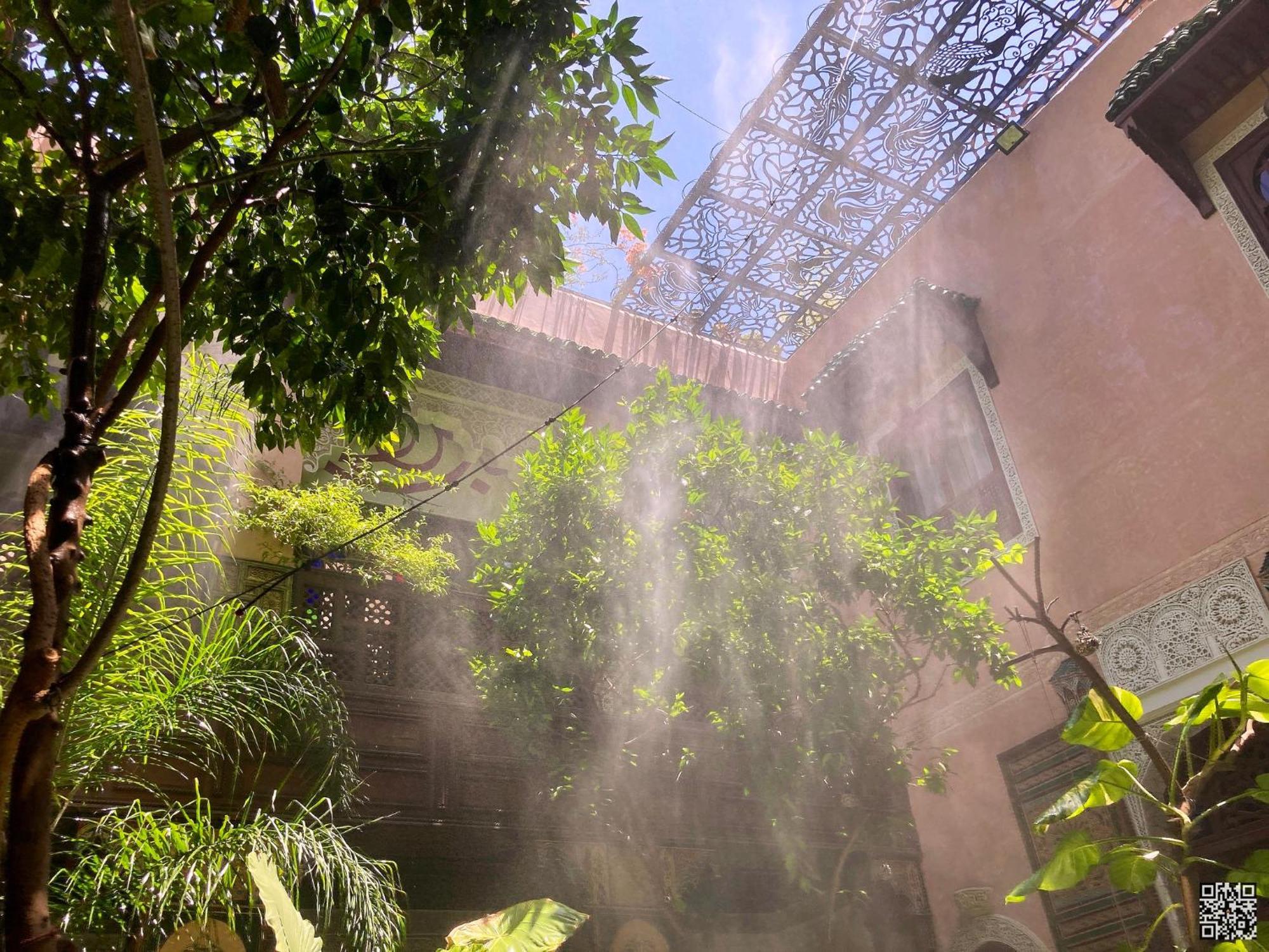 Riad Toyour- Riad Of Birds Fez Bagian luar foto