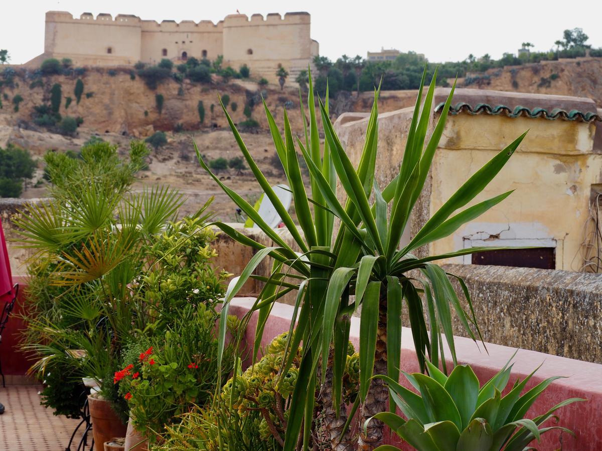Riad Toyour- Riad Of Birds Fez Bagian luar foto