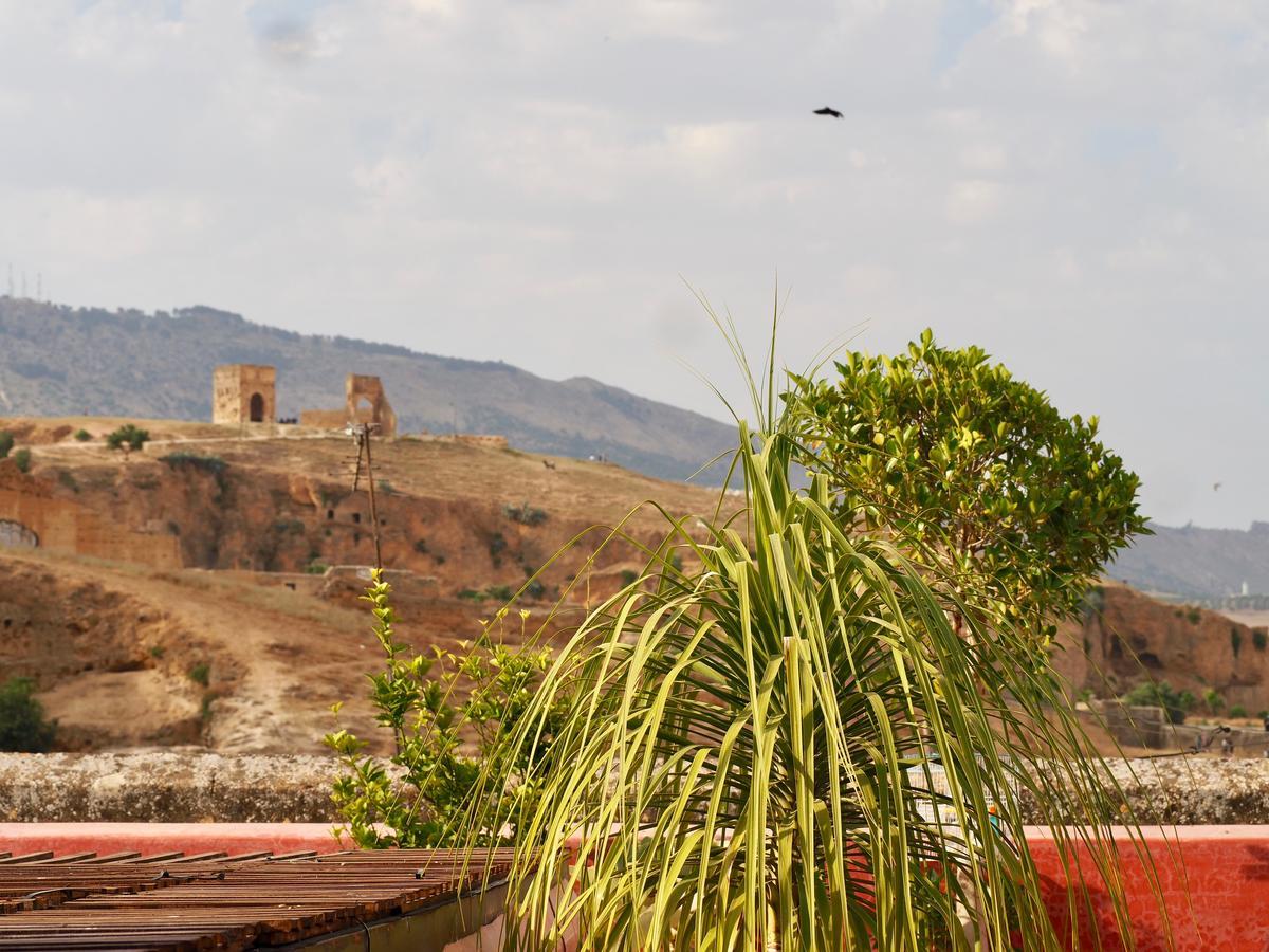 Riad Toyour- Riad Of Birds Fez Bagian luar foto